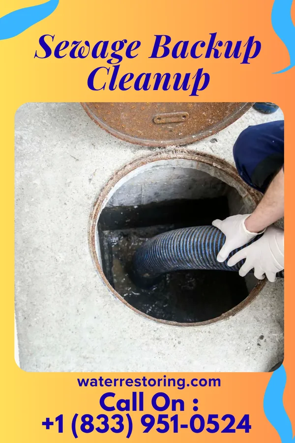 Sewage Backup Cleanup in Wade, NC