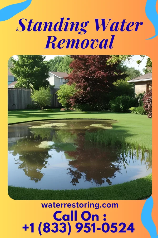 Standing Water Removal in Wade, NC
